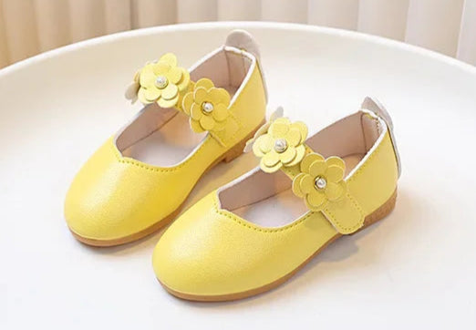 Flats Soft Shoes - More colours to choose